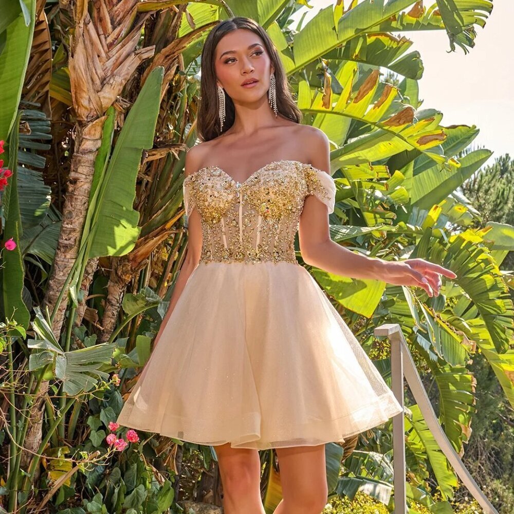 New Off Shoulder Short Special Occasion Mesh Dress w/ Sheer Boned Bodice GS3684